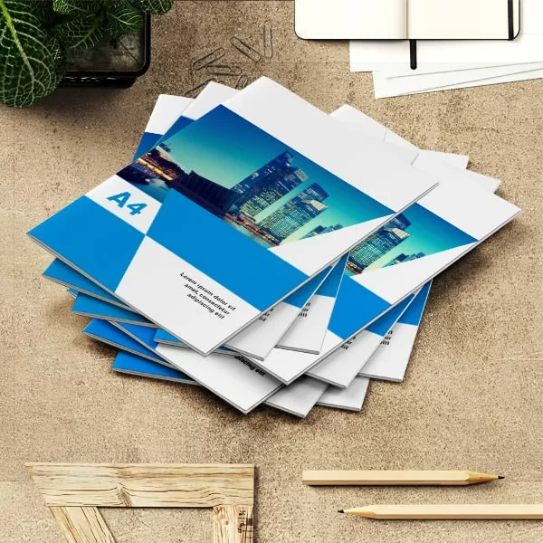 170-300 Gsm Bulk Brochure - Image 3